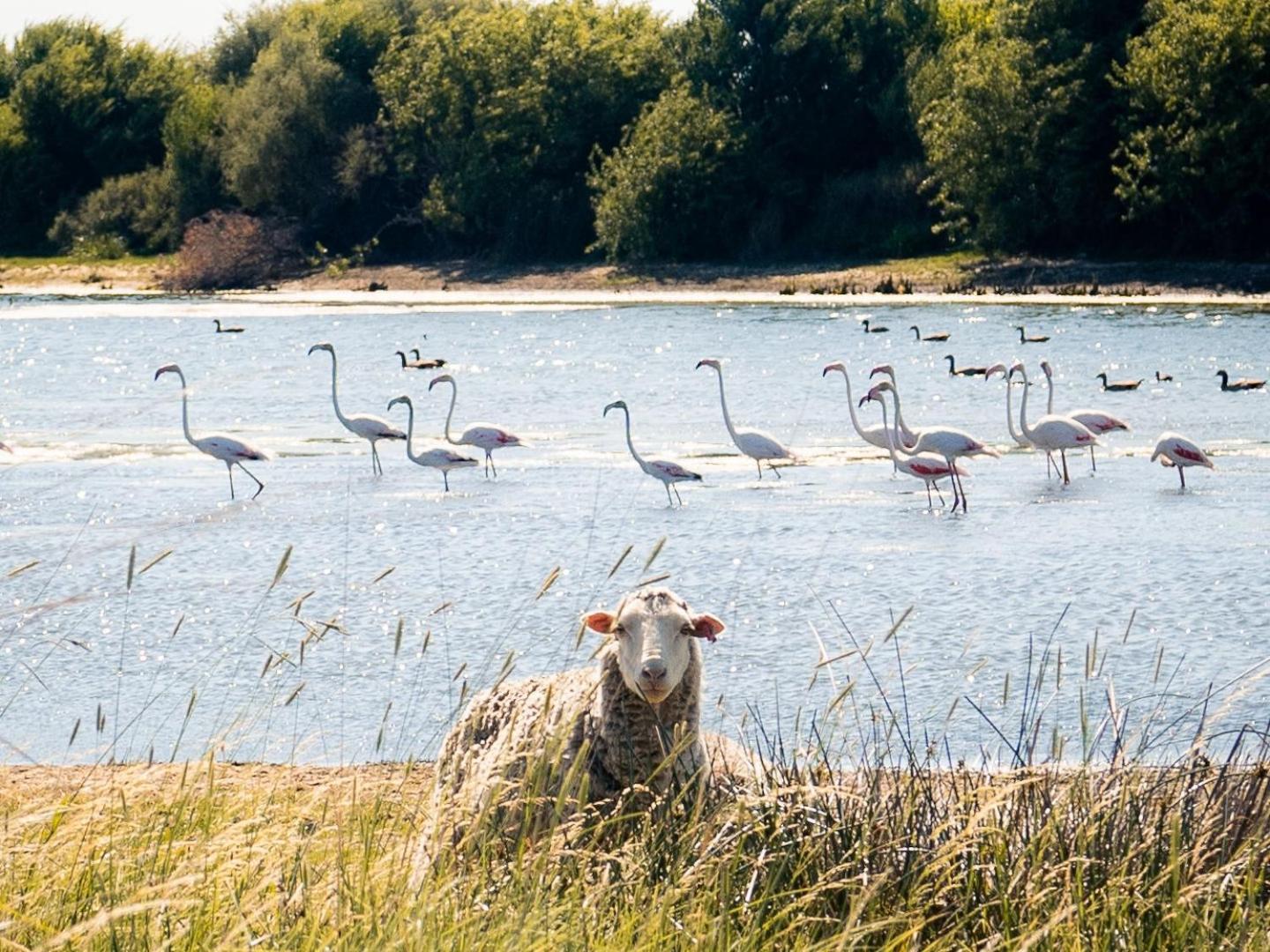 Springfontein Garingboom Guest Farm 빌라 외부 사진