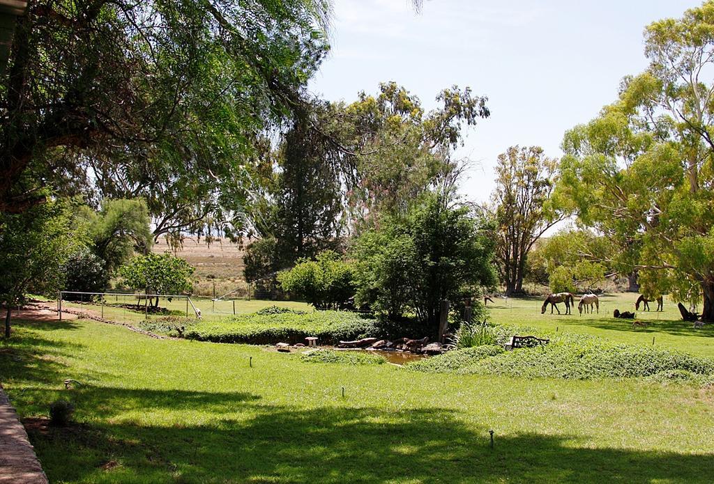 Springfontein Garingboom Guest Farm 빌라 외부 사진